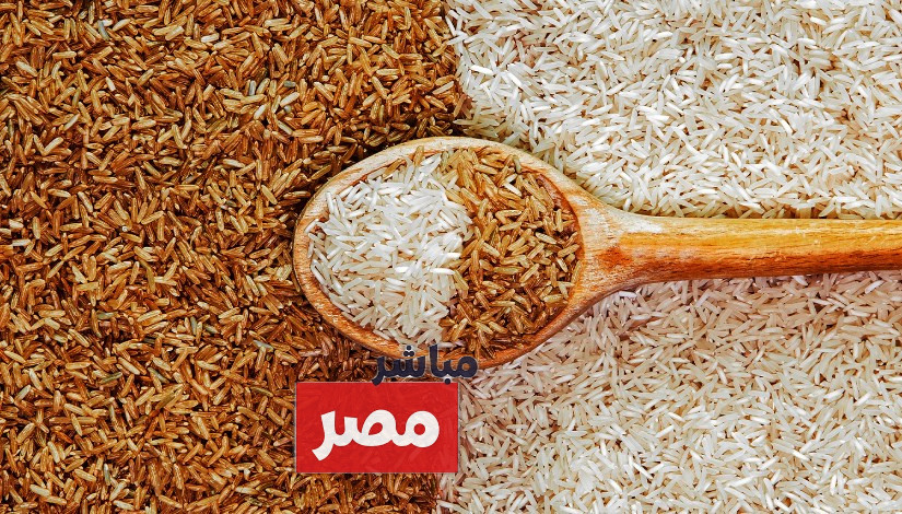 سعر طن الأرز الشعير اليوم