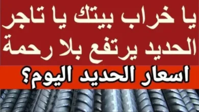 سعر طن الحديد اليوم