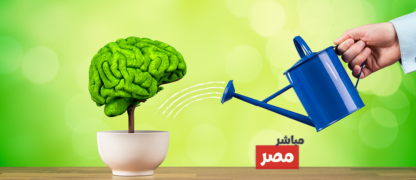 مميزات الحصول علي ذاكرة قوية