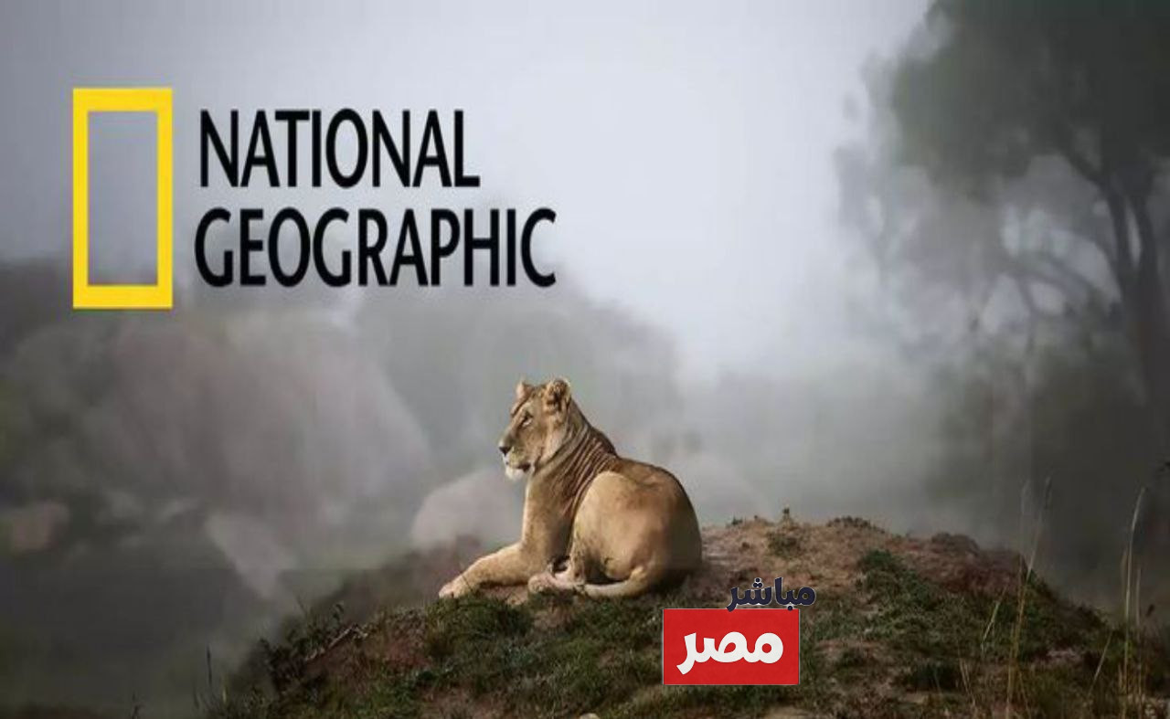 تردد قناة ناشيونال جيوغرافيك