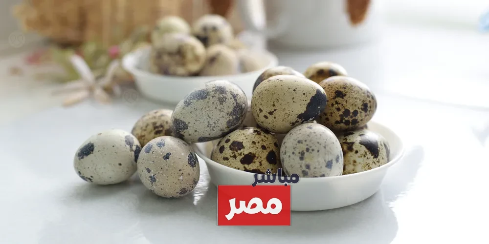بيض السمان