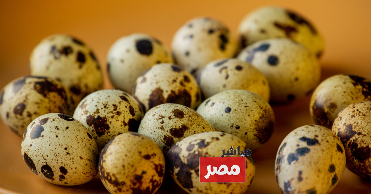 فوائد بيض السمان للأطفال
