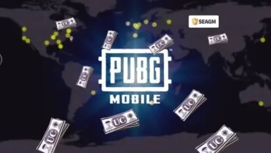 شحن شدات ببجي