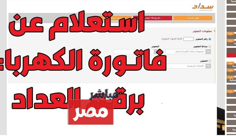 الاستعلام عن فاتورة الكهرباء برقم العداد