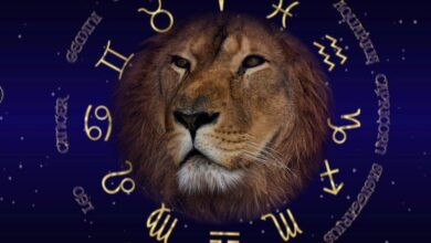 توقعات الابراج حظك اليوم برج الاسد