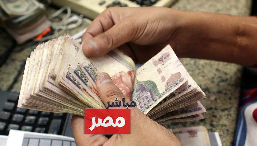 موعد صرف معاشات يناير 2026