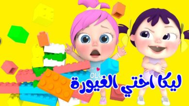 تردد قناة وناسة الجديد 2025