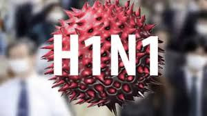 ما هو فيروس h1n1