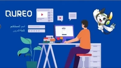 رابط منصة كيريو اليابانية أولى ثانوي