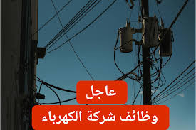 وظائف وزاره الكهرباء والطاقة المتجددة