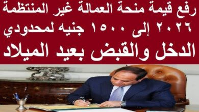 العمالة الغير منتظمة 2026