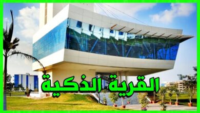 القرية الذكية