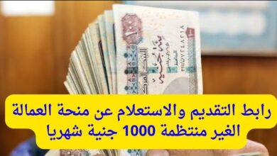 الاستعلام عن منحة العمالة الغير منتظمة