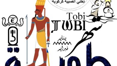 النهارده كام طوبه 2026