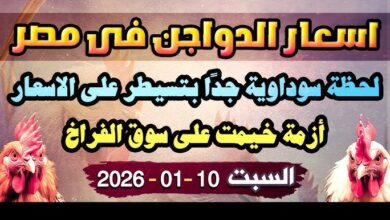 بورصة الدواجن اليوم أسعار الفراخ البيضاء