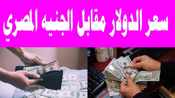 سعر الدولار مقابل الجنيه المصري