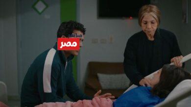 مسلسل الست موناليزا الحلقة 4