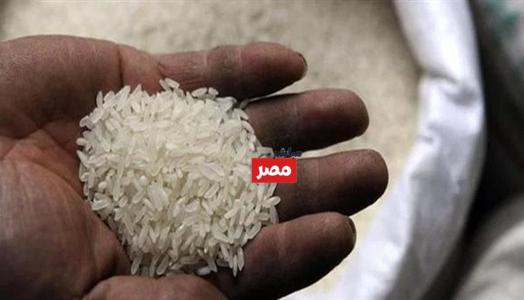 سعر طن الأرز الشعير اليوم