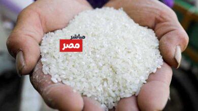 سعر طن الأرز الشعير اليوم