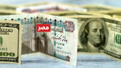 سعر الدولار مقابل الجنيه المصري