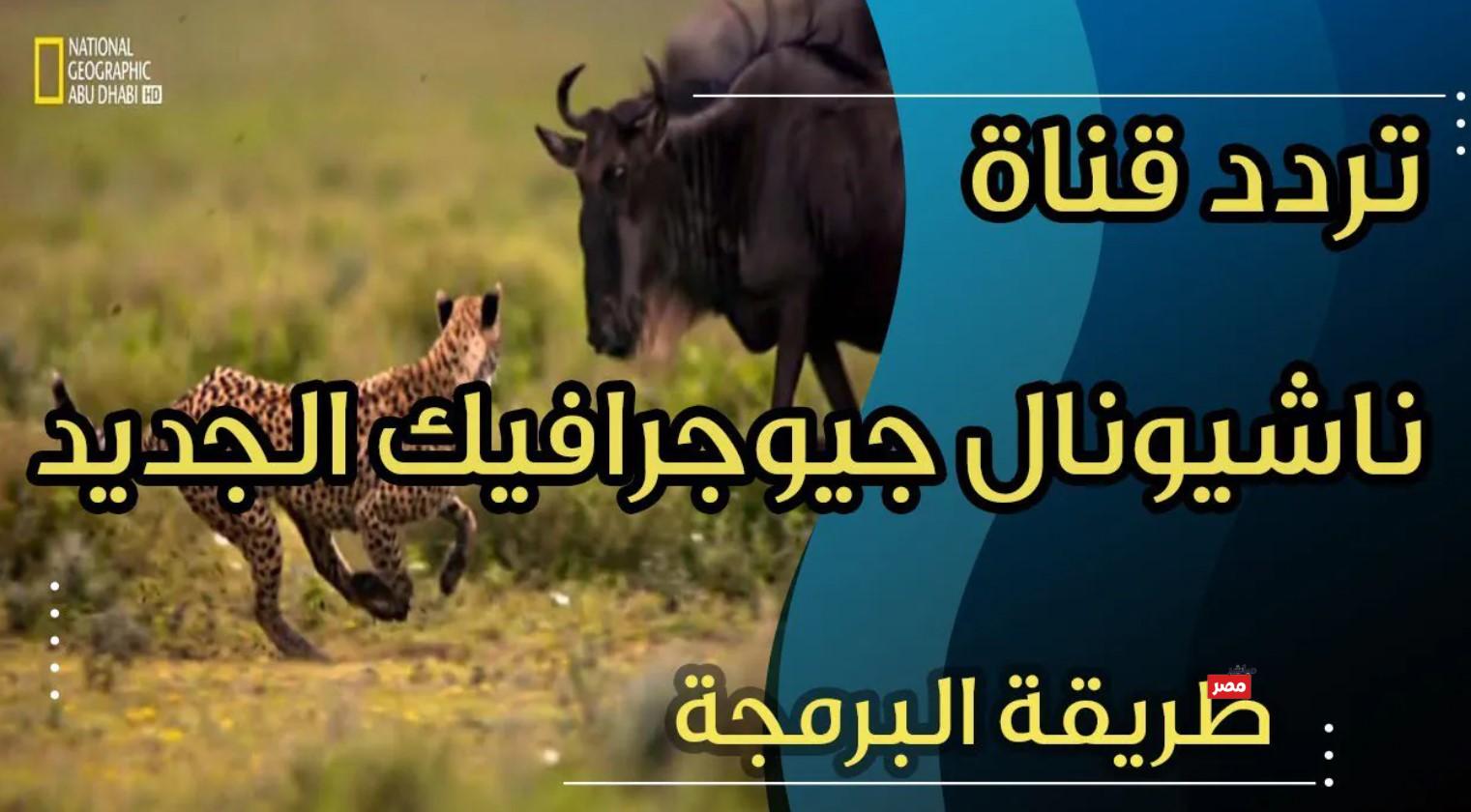 تردد قناة ناشيونال جيوغرافيك 2026