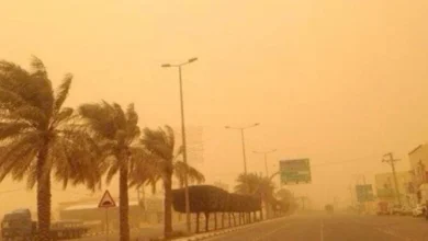 حالة الطقس اليوم