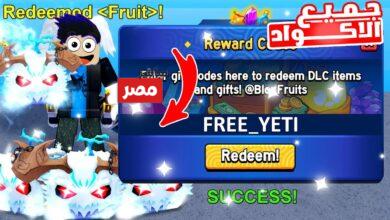 أكواد بلوكس فروت