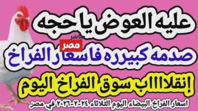 سعر الكتكوت الأبيض اليوم الثلاثاء