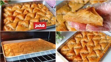 طريقة عمل الجلاش