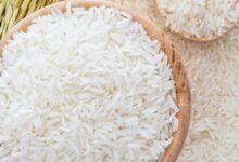 سعر طن الأرز الشعير اليوم
