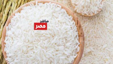 سعر طن الأرز الشعير اليوم