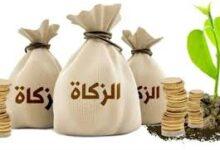 قيمة زكاة الفطر 2026