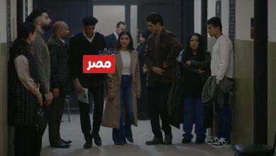 مسلسل الست موناليزا الحلقة 14