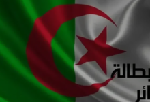 رابط تجديد منحة البطالة في الجزائر 2026