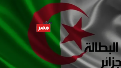 رابط تجديد منحة البطالة في الجزائر 2026