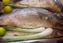 سعر الرنجة اليوم 2026