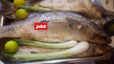 سعر الرنجة اليوم 2026