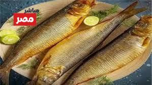 اسعار الرنجة والفسيخ اليوم