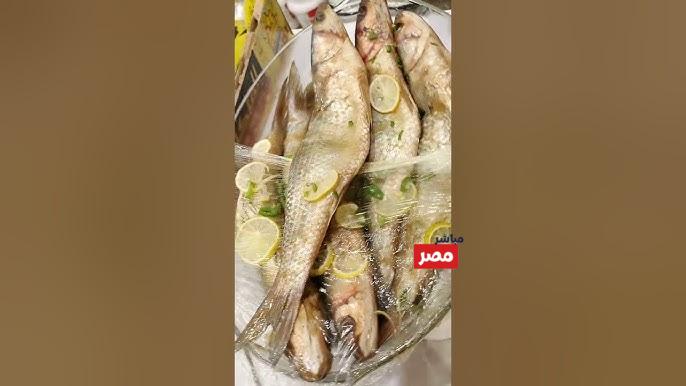 اسعار الرنجة والفسيخ