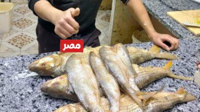 اسعار الرنجة والفسيخ