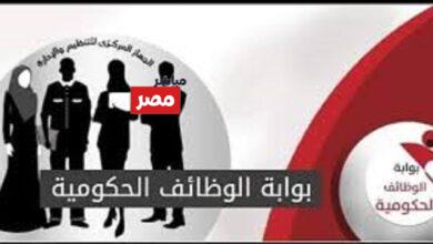 بوابة الوظائف الحكومية