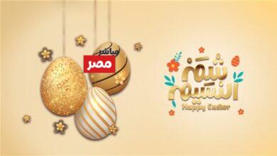 عبارات تهنئة شم النسيم