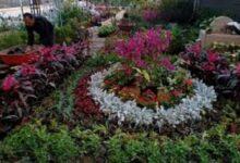 معرض الزهور