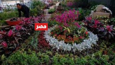 معرض الزهور